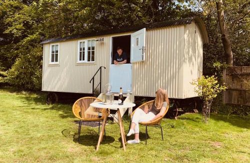 Hopton Bed & Breakfast | Somerleyton Meadows - The Hideaway Hut & Hot Tub