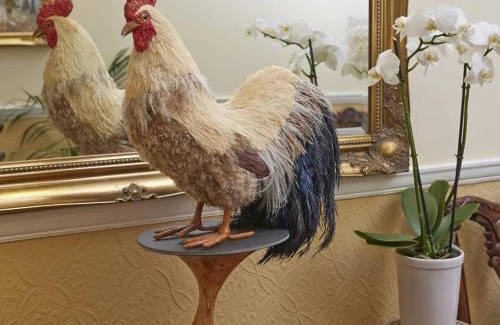 Hereford Bed & Breakfast | Somerville House