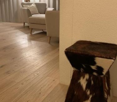 Sankt Moritz-Bad Apartment | Sonniges und stylishes Bijou in St. Moritz Bad