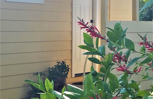 Sonoma Cottage | Sonoma Vineyard Cottage - enjoy wine country life. Peaceful yet central locale!