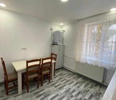 Tirgu Neamt Apartment | SorinaApartament