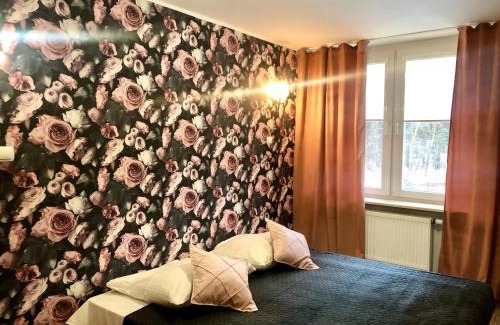 Ignatki Osiedle Resort | Sosnowe Zacisze