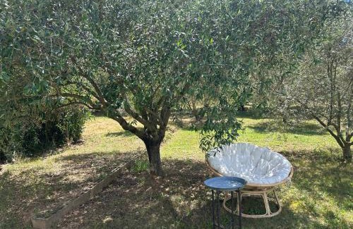 Lurs House | Sous les étoiles en Provence, gîte les Grands chênes