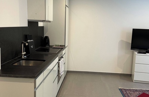 Industriebezirk Apartment | Souterrain Wohnung in Exklusiver Villa Nähe Nymphenburger Schlosspark