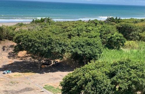 Minamiboso Bed & Breakfast | South Bird Inn