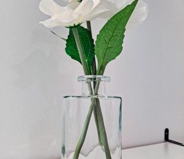 The Loop Apartment | South Loop Rooftop With In and Out Parking 2