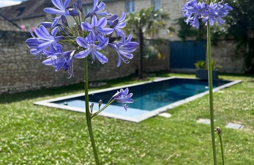 Tavant Cottage | South Touraine village house with swimming pool near Chinon Azay 10 p