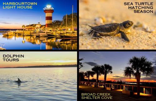 Folly Field Apartment | Southern Serenity, an HHI Beachfront Resort
