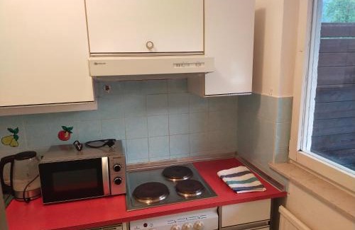 Werfenweng Apartment | Spa Apartment in den Alpen