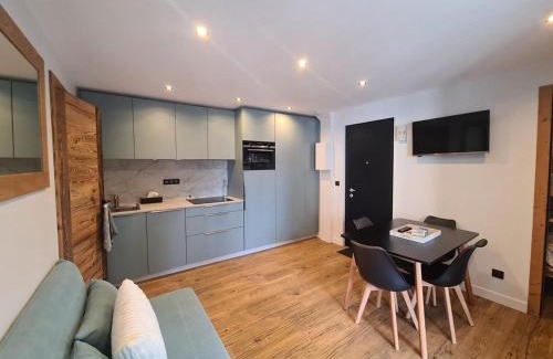 Les Carroz-d'Araches Apartment | Spacieux 2 pièces + cabine, idéal famille, 5 pers, centre village, proche commerces et pistes - FR-1-572-156