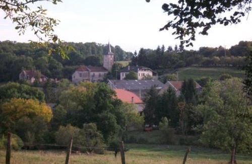 Repaix House | Spacieux gîte familial avec jardin et salle de jeux, proche de Center Parcs et des Vosges - FR-1-584-45