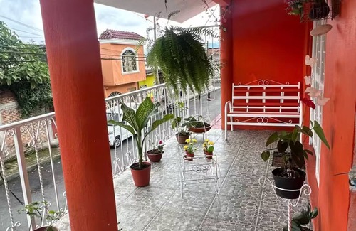 Orizaba Apartment | Spacios Apartment with Terrace!