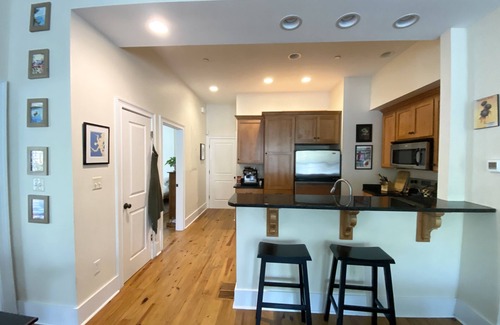 Historic Downtown Savannah Apartment | Spacious 2 bedroom apartment next to Forsyth Park