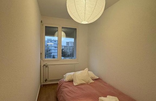 Saint-Jean and Charmilles Apartment | Spacious 3 bedroom duplex
