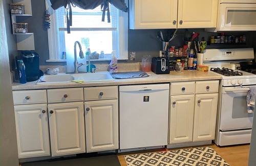 Detroit House | Spacious 4-bedroom Historic house with WiFi in heart of Detroit/Free Parking!