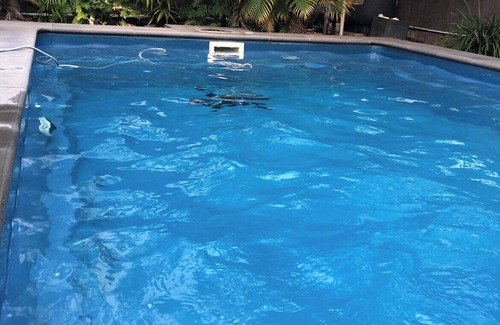 Brisbane Airport House | Spacious 4 bedroom house in delightful Hendra.