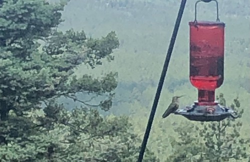 Angel Fire Cabin | Spacious cabin, 2 decks, Wheeler PK view, over 2mi from ski drop off, hot tub…
