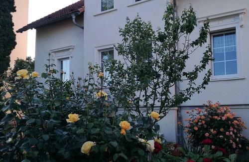 Dresden Apartment | Spacious, close to the center and family friendly apartment in Dresden!