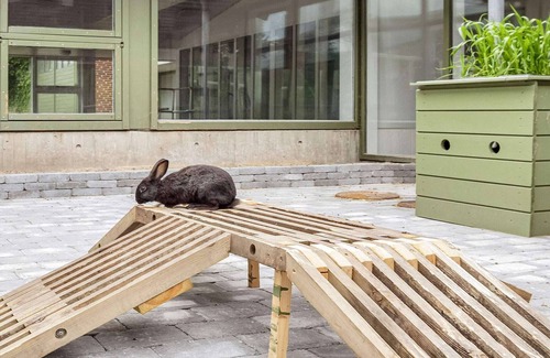 Hanstholm Apartment | Spacious family retreat for four- Type6