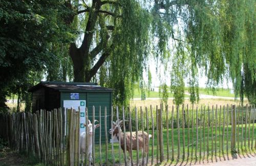 Zevenhuizen House | Spacious holiday home with terrace