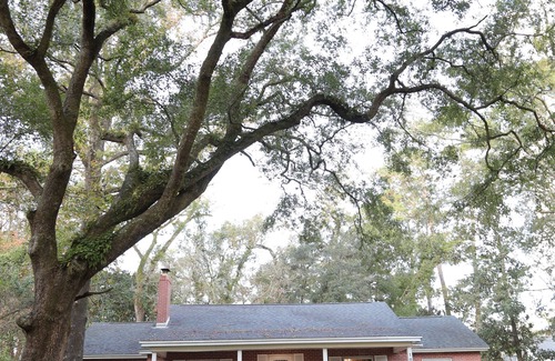 Tallahassee House | Spacious Mid-Cent Home, Close to FSU/Stadium, FAMU, TCC, Capitol and Hospitals