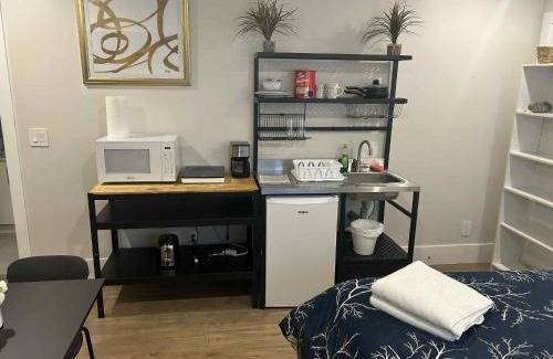 Maple Ridge Apartment | Spacious one Bedroom Suite Right in Downtown !