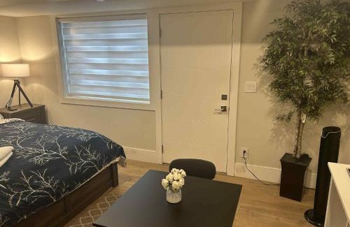 Maple Ridge Apartment | Spacious one Bedroom Suite Right in Downtown !