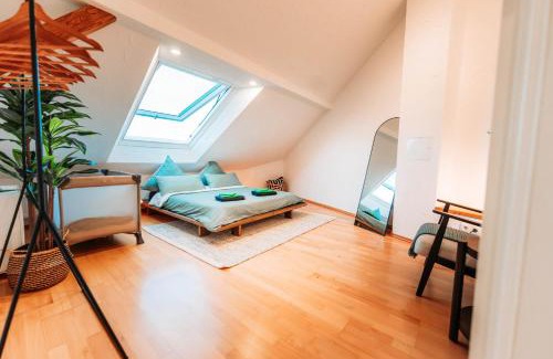 Sued Apartment | Spacious Penthouse with AC and Free Parking Steps Away From the Central Station
