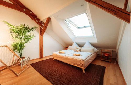 Sued Apartment | Spacious Penthouse with AC and Free Parking Steps Away From the Central Station
