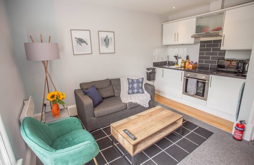 Oxford Apartment | Spacious, Pet-friendly 1DBL Bed by South Park