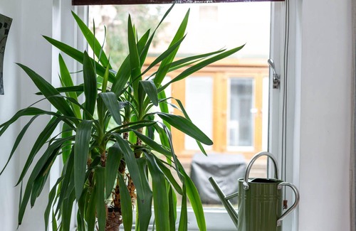 West Putney House | Spacious Putney House with Garden