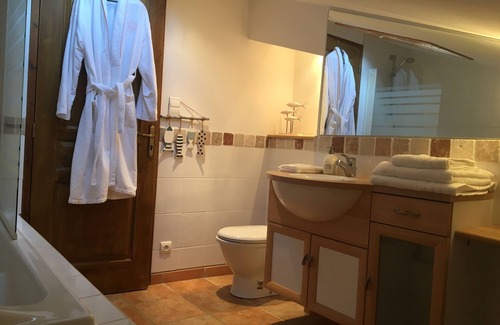 Lisle-sur-Tarn House | Spacious room with swimming pool (Toulouse-Albi)