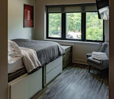 Burns Park House | Spacious & Spotless Home in A2 Walk to Big House