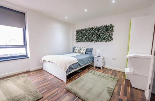Plasnewydd Apartment | Spacious Stylish City Studio with Street View