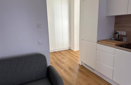Outer Neustadt Apartment | Spacious vacation apartment in Dresden Neustadt - your stylish temporary home