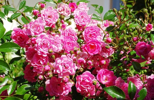 Fuegen Apartment | Spacious vacation apartment for 10-12 people 500m from the Spieljochbahn