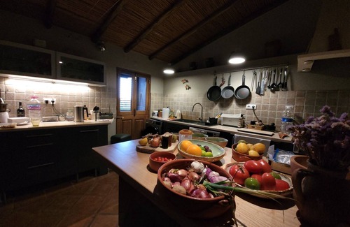 Fonte do Bispo House | Spacious views of peace and relaxation at Casa Al Caria