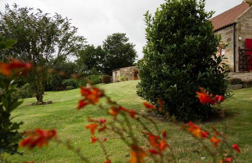 Saltburn-by-the-Sea House | Spangle Cottage, Borrowby Farm Cottages