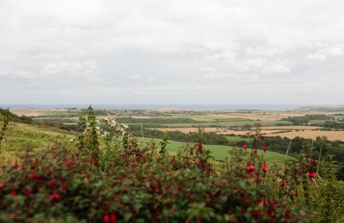 Saltburn-by-the-Sea House | Spangle Cottage, Borrowby Farm Cottages