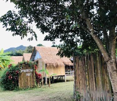 Pai Other | Sparrow Hut
