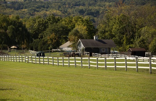 Penn Yan House | SPECTACULAR EAST-SIDE COTTAGE ON KEUKA LAKE