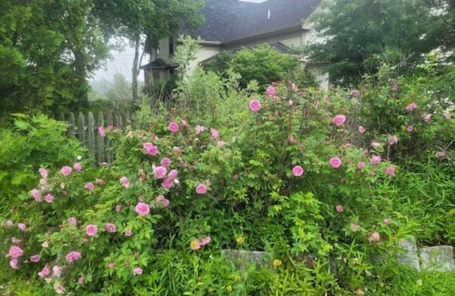 Bucksport Apartment | Spectacular Mnt Sunrise spacious pvt suite 2BR/1ba