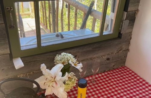 Hepburn Cabin | Spectacular Rustic & Cozy Cabin, (built for 2) running water, toilet and shower!