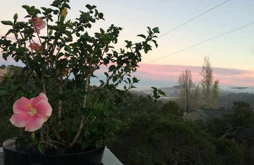 Mill Valley House | Spectacular Views, Privacy, Sunshine, 5 Minutes to Downtown Mill Valley