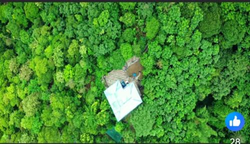 Elappara House | Spice routes