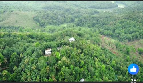 Elappara House | Spice routes
