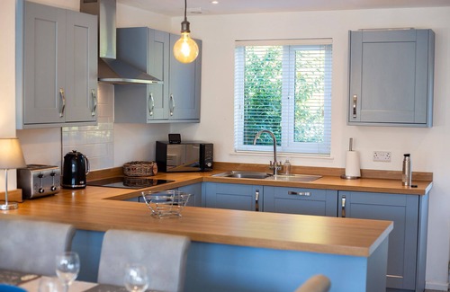 South Cerney House | Spring Lake 52, Eider Lodge (P) - Lakeside Holiday Cottage