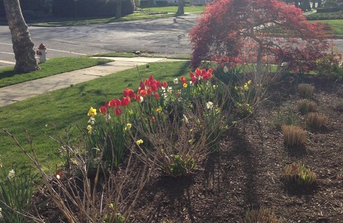 Spring Lake House | Spring Lake Beach House, pool, yard, corner lot, 2 blocks from the ocean.