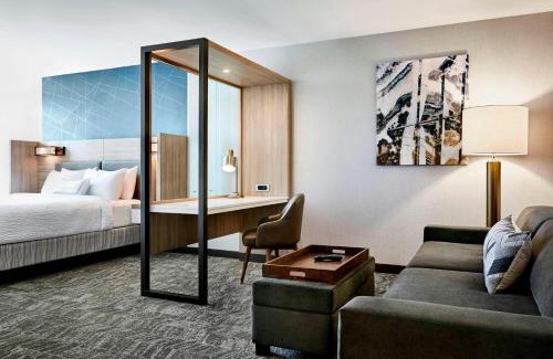 High Point Hotel | SpringHill Suites by Marriott High Point Downtown