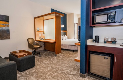 Downtown San Antonio Hotel | SpringHill Suites by Marriott San Antonio Alamo Plaza/Convention Center